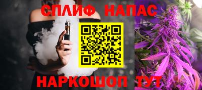 СК Будённовск