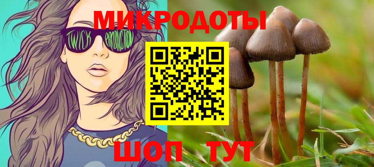 Псилоцибиновые грибы Psilocybe Кыштым